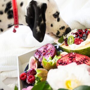 Koirien rasvaliukoiset vitamiinit